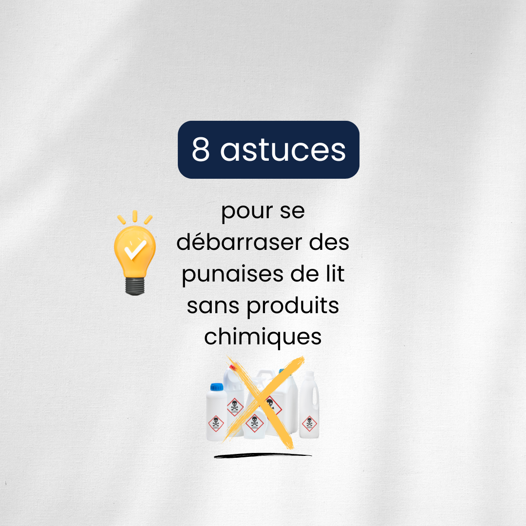 8 astuces pour se débarrasser des punaises de lit sans produits chimiques