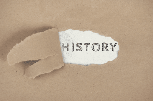 Histoire des Punaises De Lit