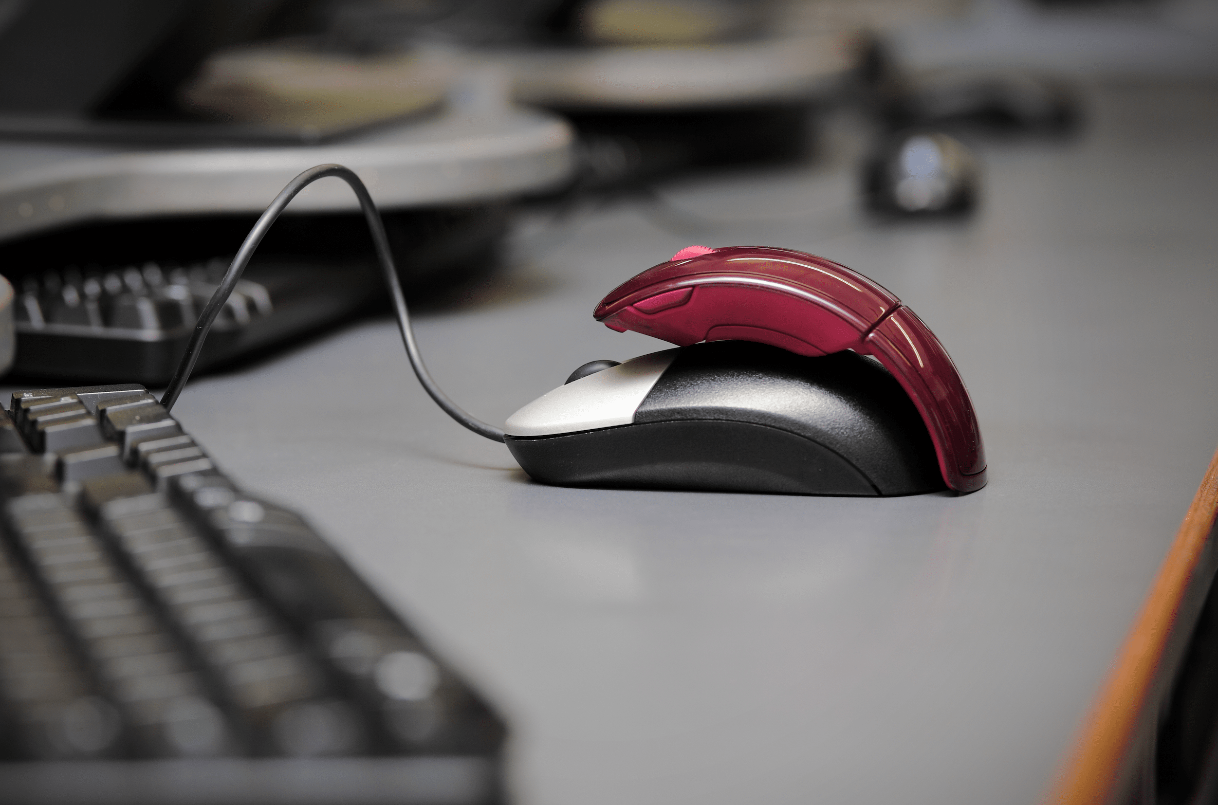 Découvrez la sexualité débordante et originale des punaises de lit