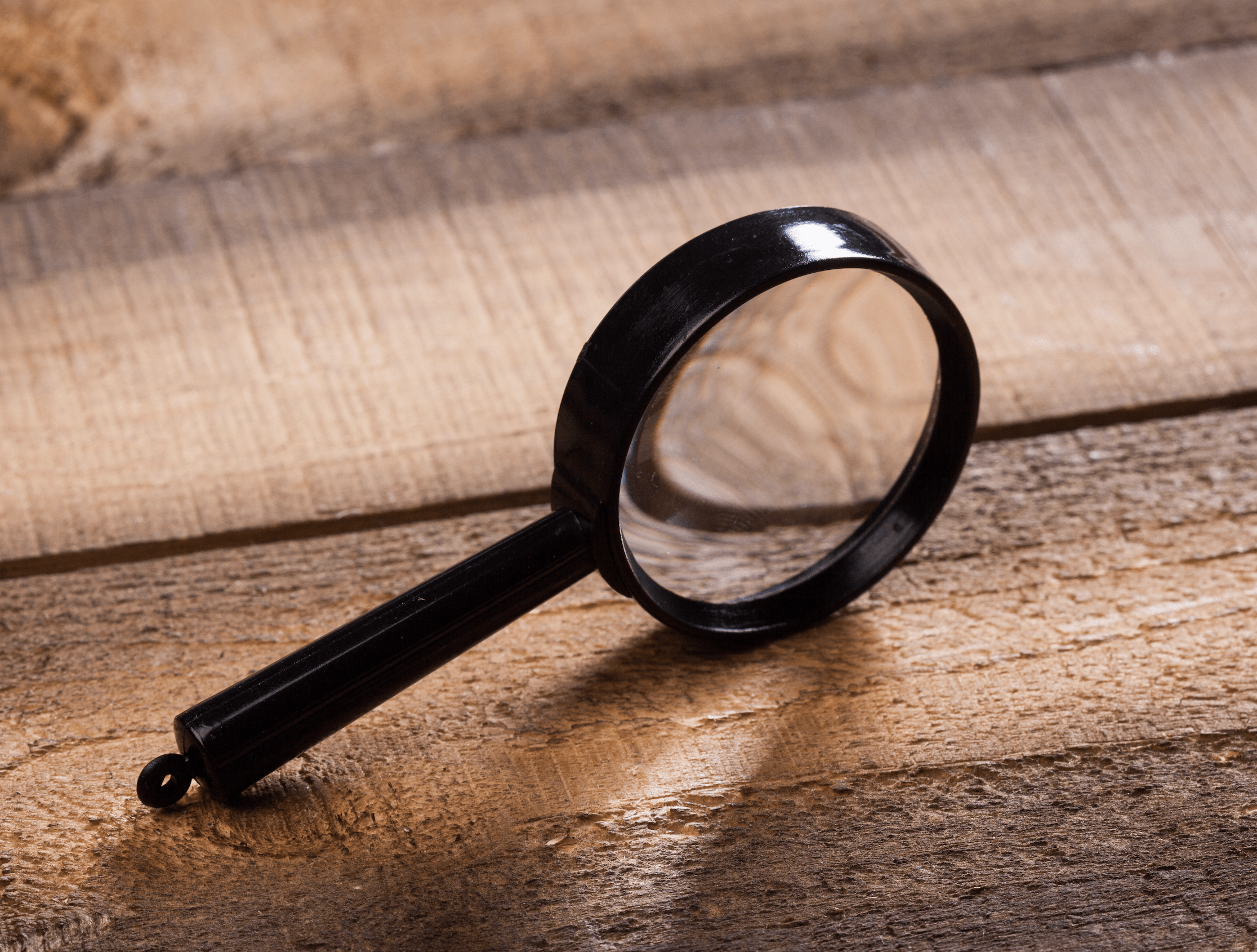 Les larves de punaises de lit (résistance, comment les tuer…)