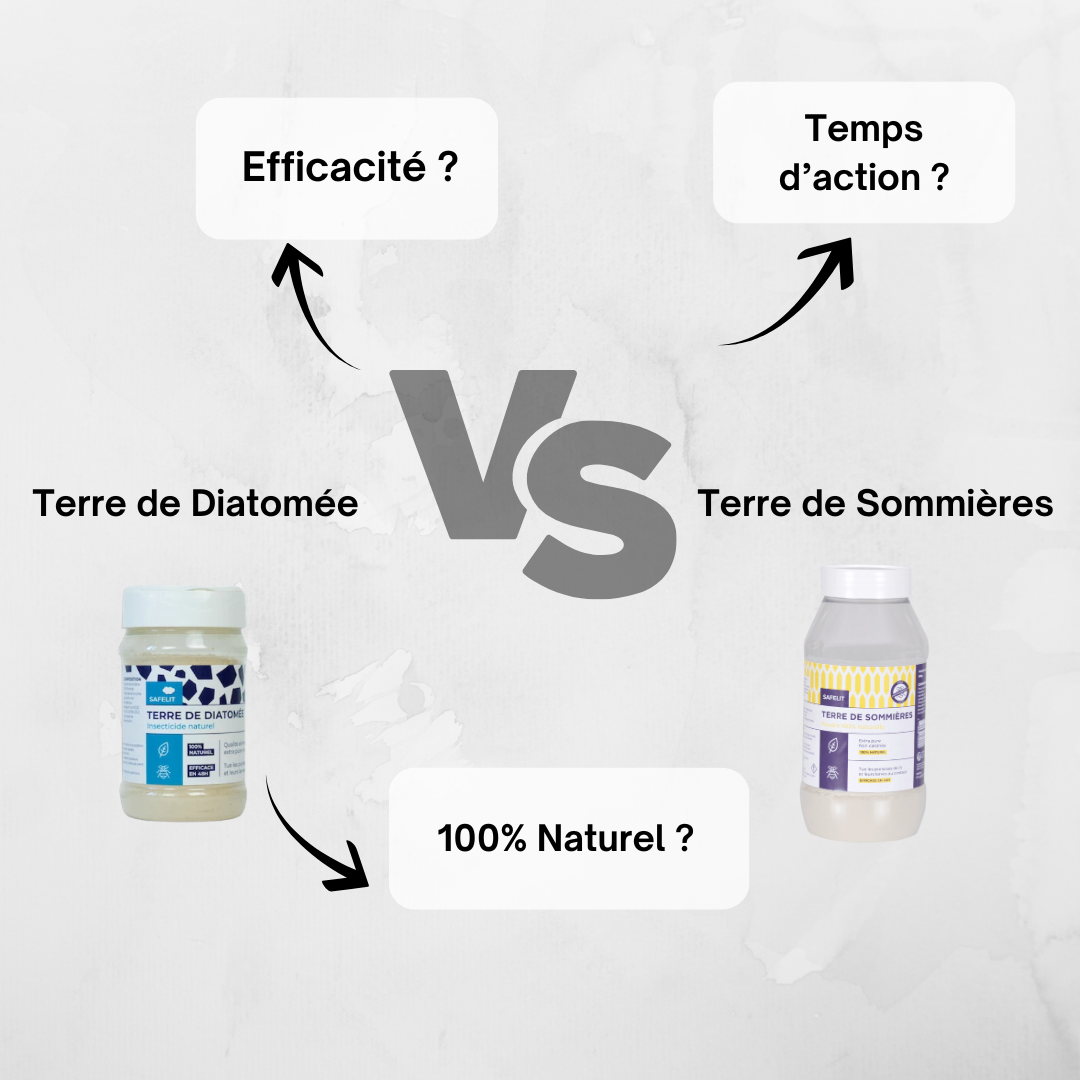 Pots de terre de Sommières et de terre de diatomée côte à côte