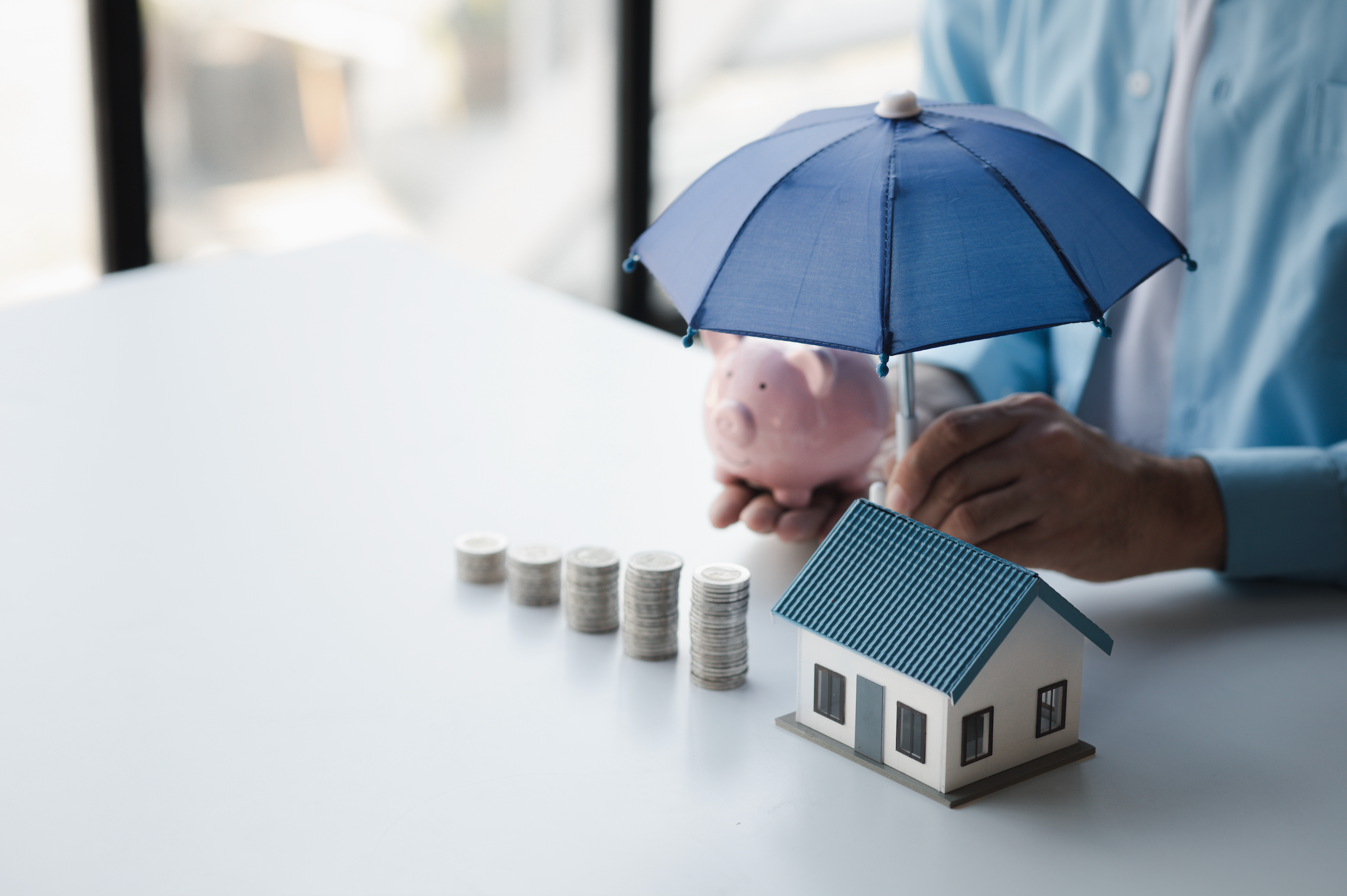 Les punaises de lit et la législation : Quelles sont les obligations des propriétaires et des locataires ?