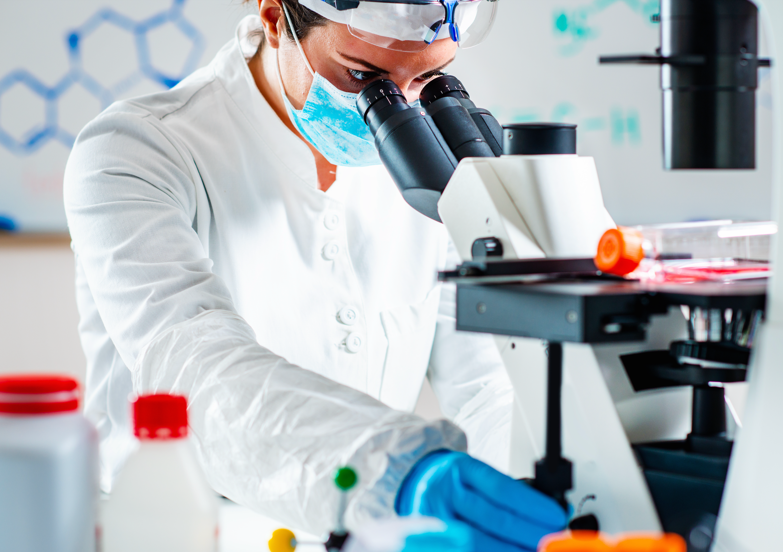 Pourquoi les punaises de lit résistent aux produits chimiques ?