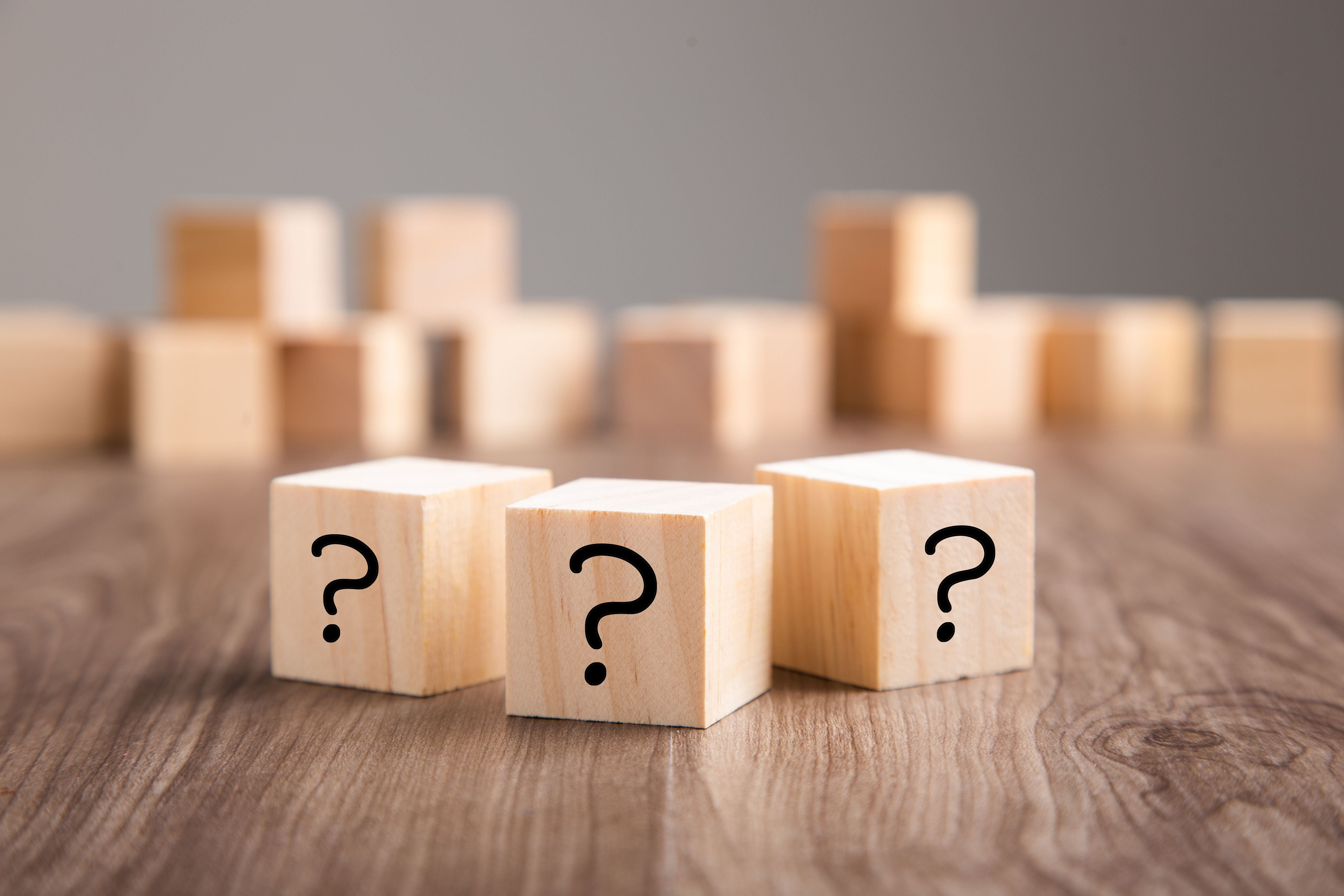 FAQ Punaises de Lit 2025 : Toutes les Réponses avec photos