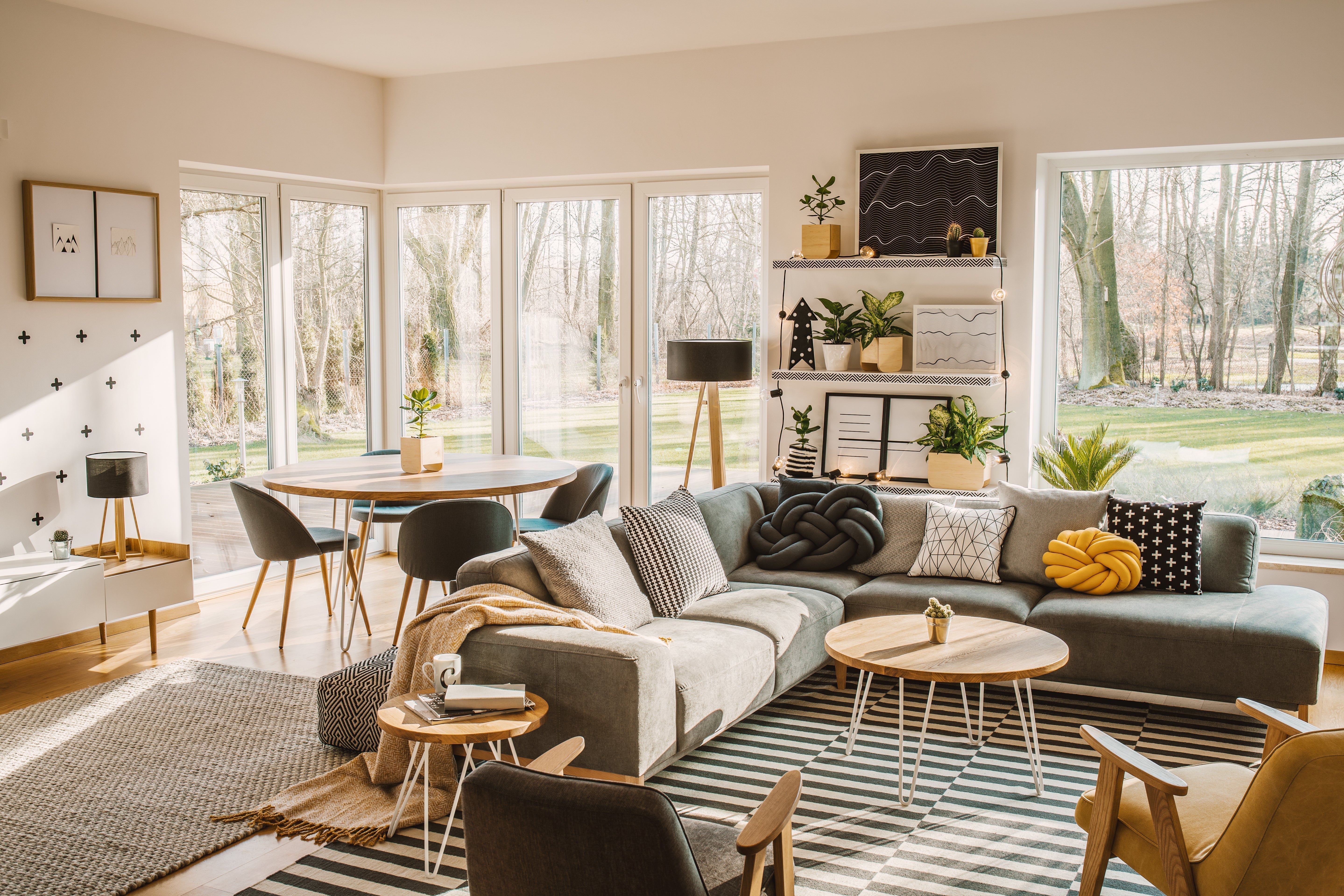 Punaise de lit : Comment arrivent-elles dans nos habitations ?