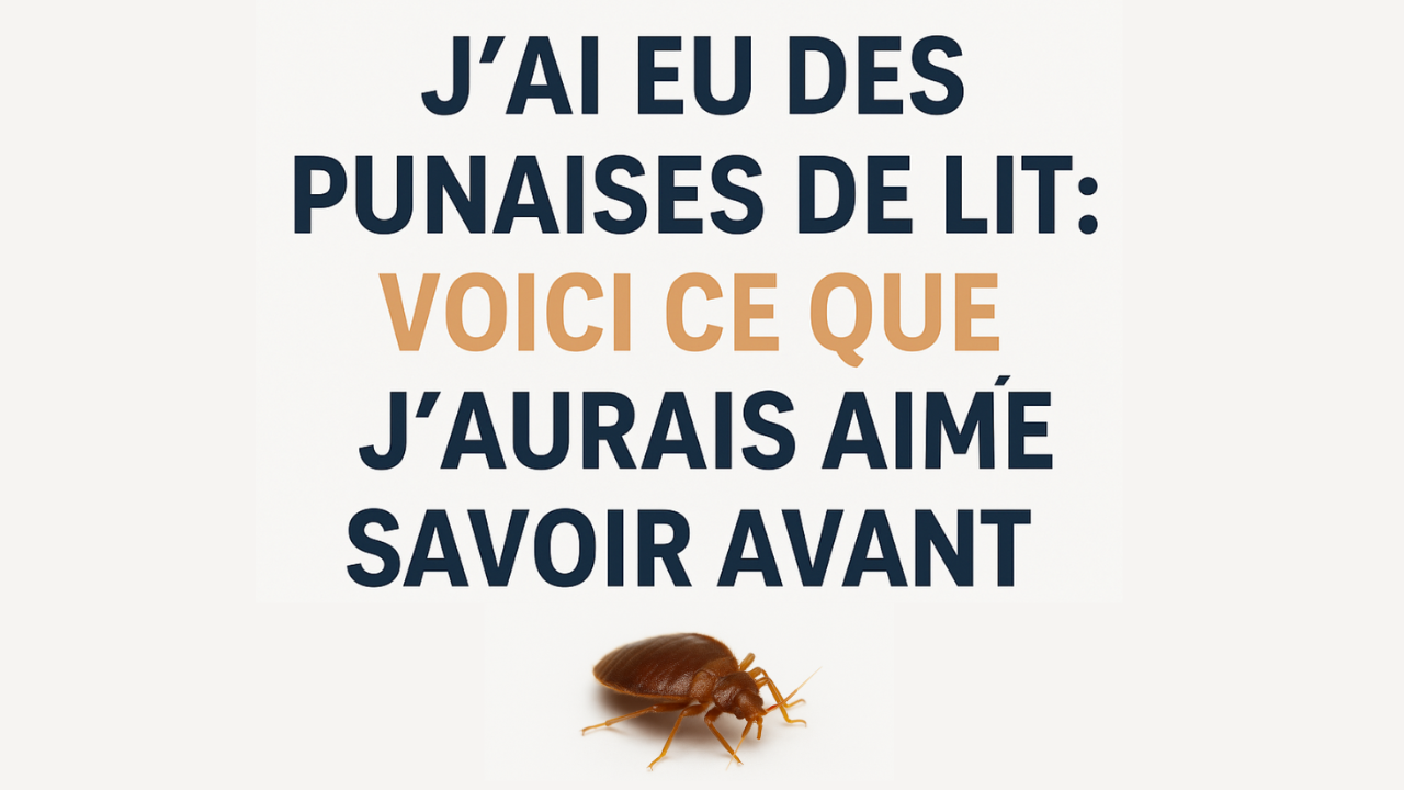 J’ai eu des punaises de lit : voici ce que j’aurais aimé savoir avant !