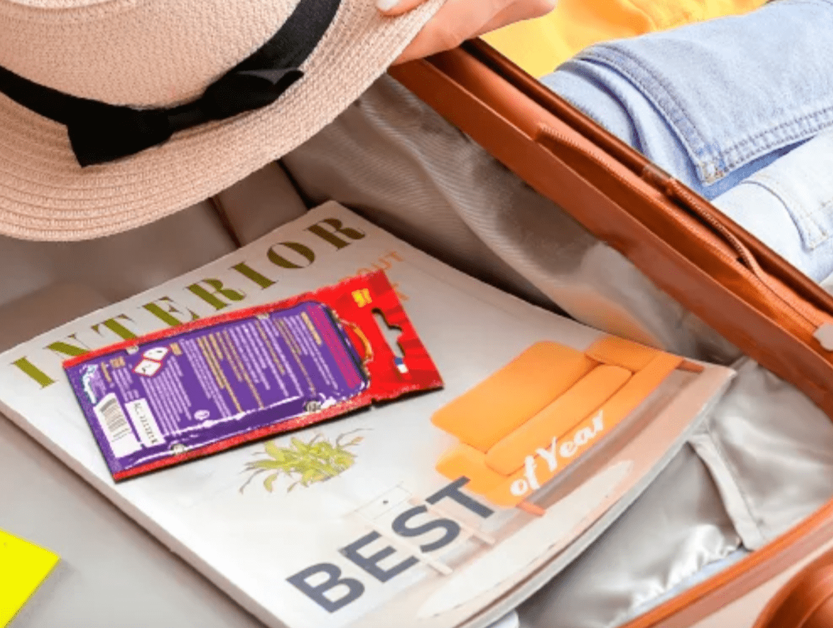 Lot de 2 plaquettes insecticides anti punaises de lit pour valises Safelit