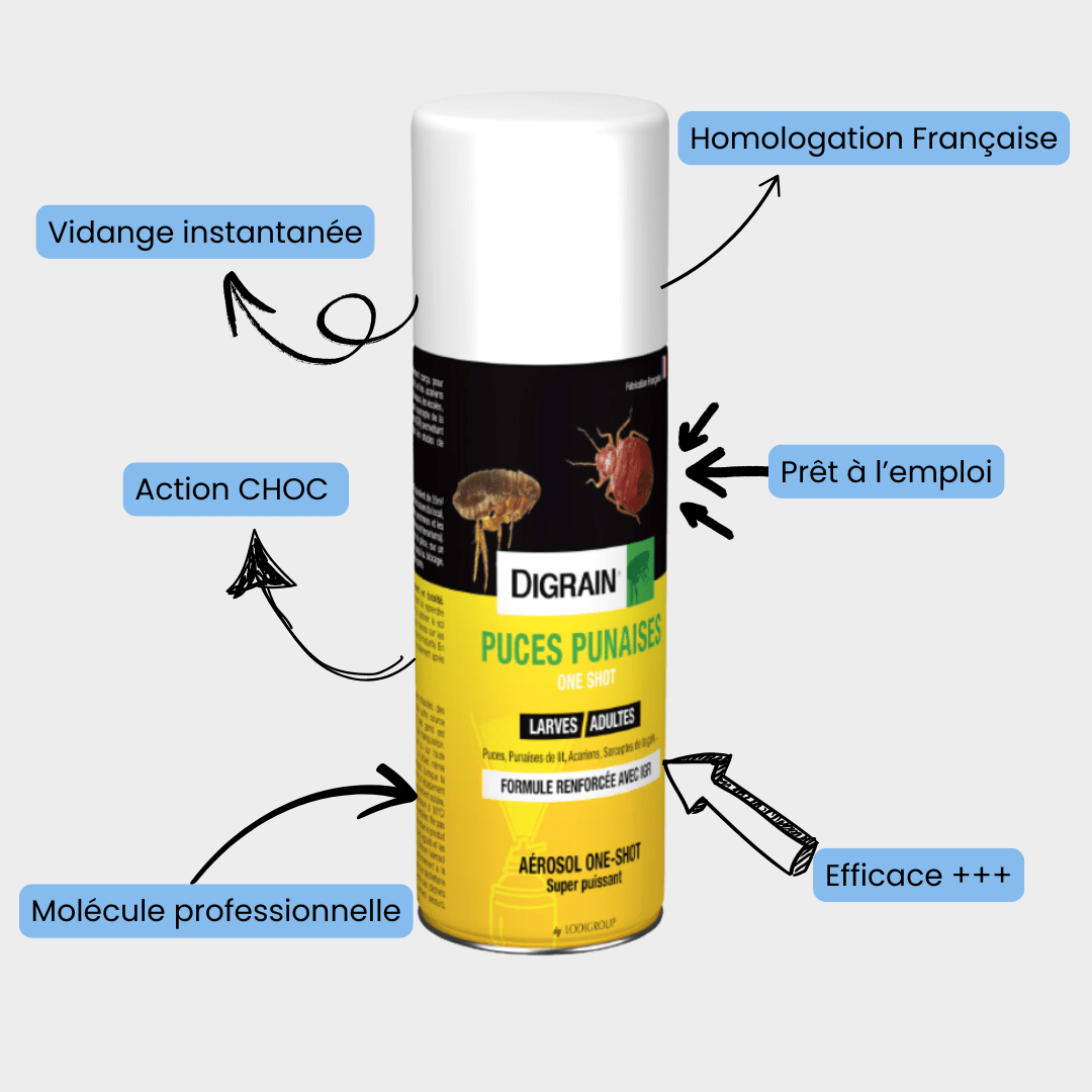 Insecticide anti-punaises de lit Aérosol professionnel Safelit