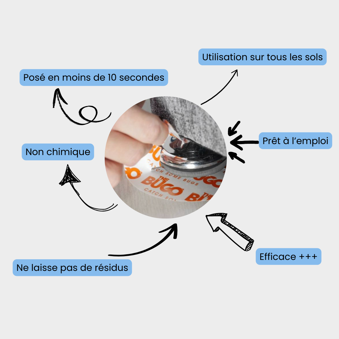 Intercepteur punaise de lit The Bugo - lot de 12