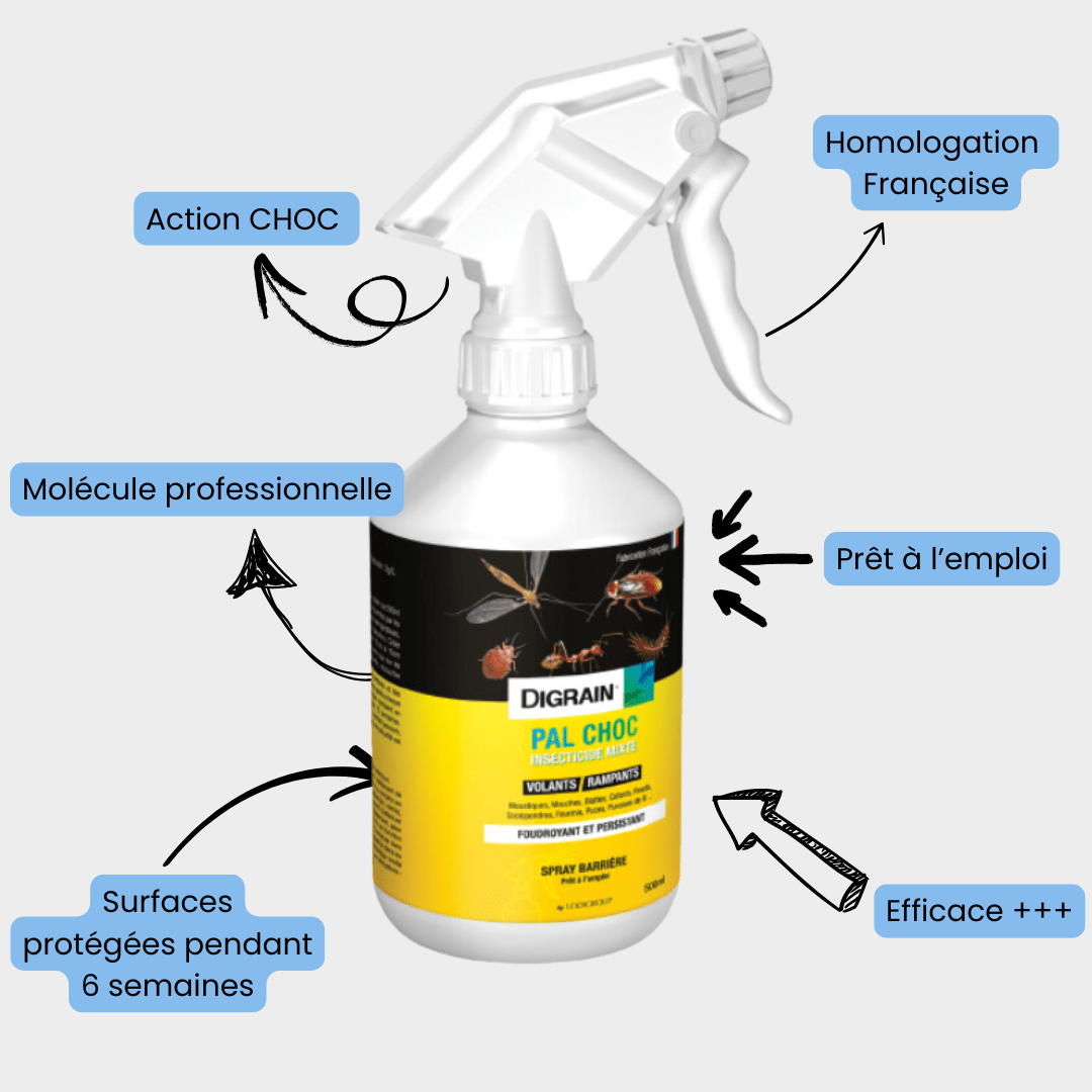 Laque choc contre les punaises de lit Digrain - 500 ml Safelit