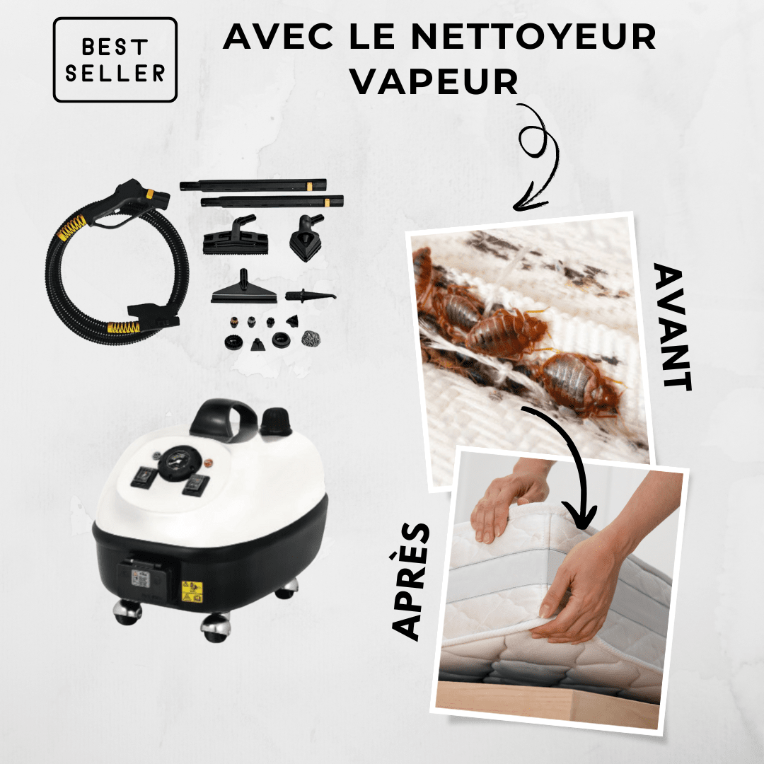 Nettoyeur Vapeur Sèche Punaise de lit Safelit