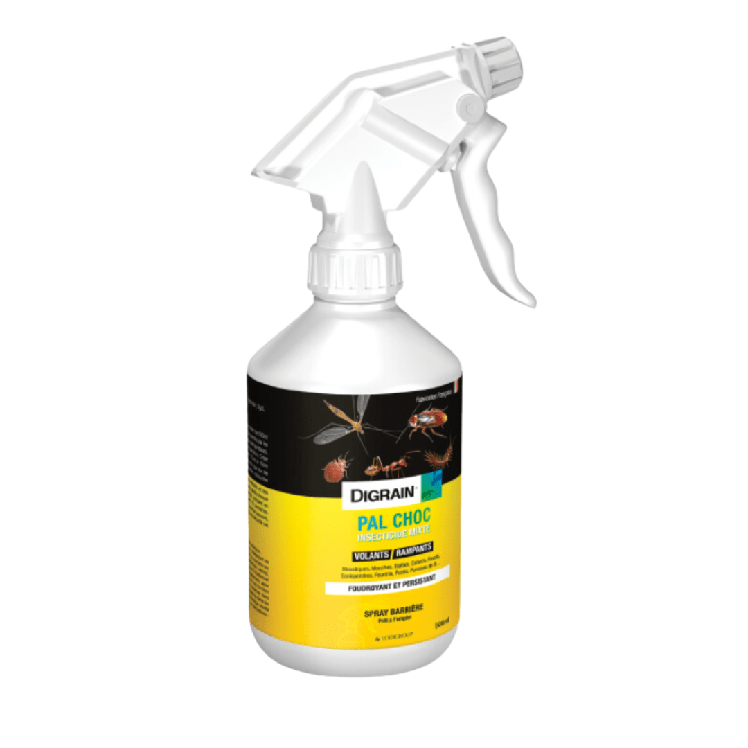 Laque choc contre les punaises de lit Digrain - 500 ml Safelit