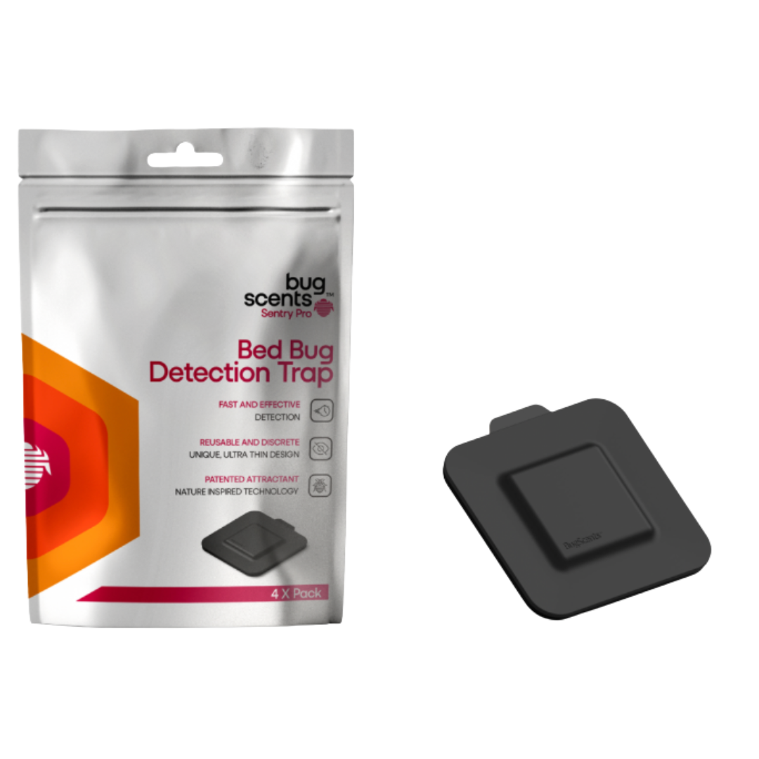 Bugscents pièges punaise de lit complet - Lot de 4