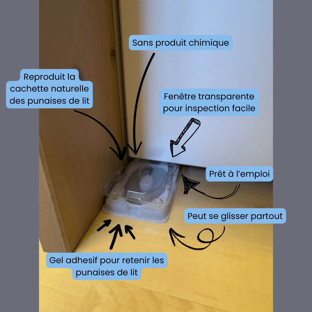 Lot de 12 détecteurs de punaises de lit Piège détecteur de punaises de lit Safelit