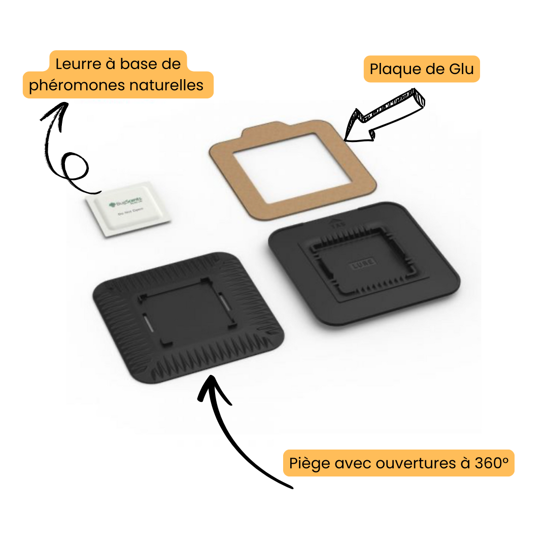 Bugscents pièges punaise de lit complet - Lot de 4