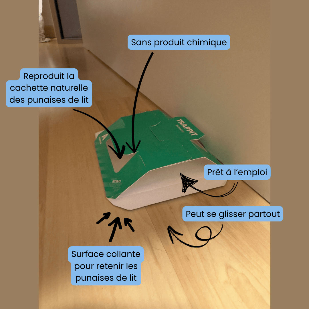 Pièges à punaise de lit Safelit à placer partout pour capturer les punaises de lit grâce à sa face adhésive