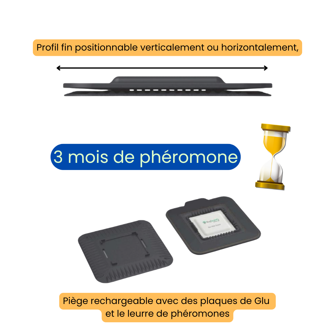 Bugscents pièges punaise de lit complet - Lot de 4