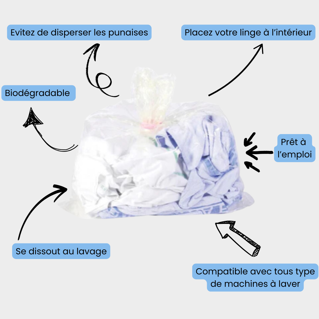 infographie sur l'utilisation des sacs hydrosolubles anti punaise de lit