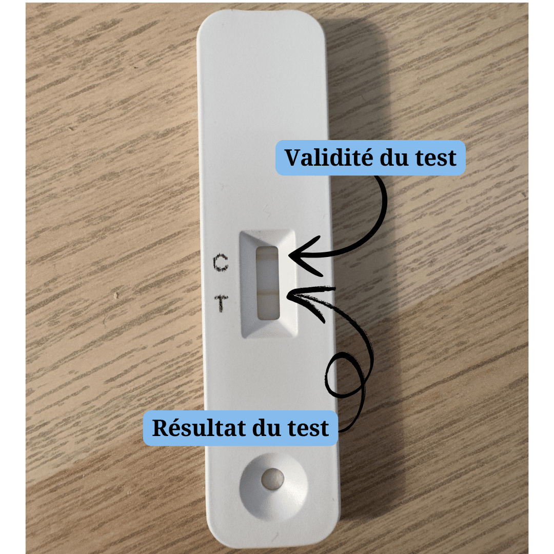 Test de dépistage rapide pour punaises de lit TruDetx™ Safelit