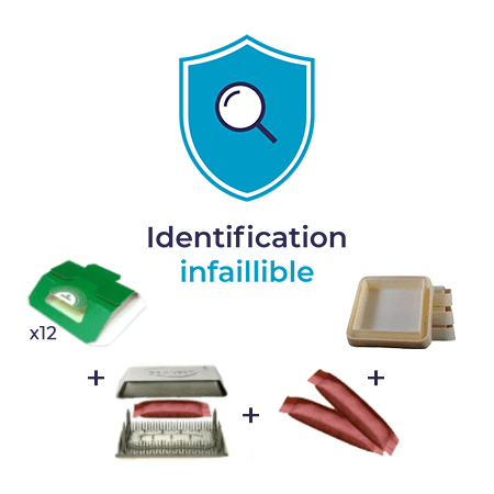 Safelit Pack Identification Infaillible Safelit 