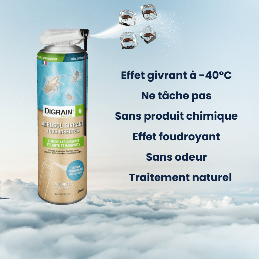 Aérosol givrant DIGRAIN 500ml Aérosol givrant DIGRAIN 